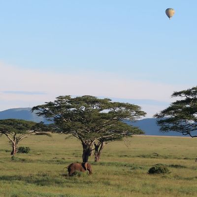 What a Week in the Wild Taught Me About Slowing Down