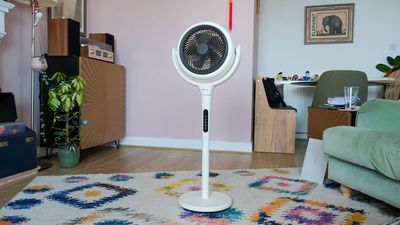 I’ve found a serious side effect to using a fan all week – and a way to fix it