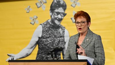 Hanson slides in the polls after voter 'reality check'