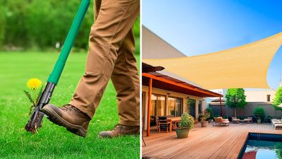 55 cool, cheap-ass things for your backyard that are effing brilliant