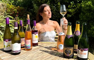 9 best Sainsbury's wines, expert-chosen from the supermarket aisle