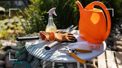 These are the five obscure tools you didn't know you needed as a beginner gardener