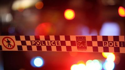 Woman shot dead in alleged domestic violence murder