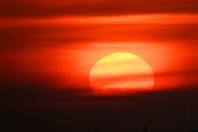 Europe swelters as heatwave moves east, excess deaths rise