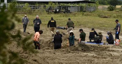 Who Is the Owner of the California Animal Shelter Where More Than 100 Dogs Were Found Dead? Meet Shannon Miranda