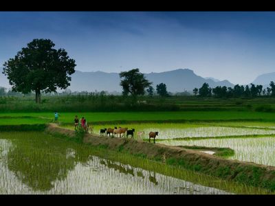 Can a weak monsoon slow India's economy? Here's what investors need to know