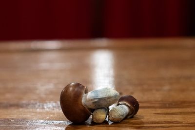 California dad admits dosing his children hallucinogenic mushrooms every other day