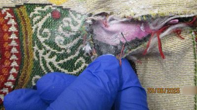 Airline worker's alleged tote bag drug smuggle attempt