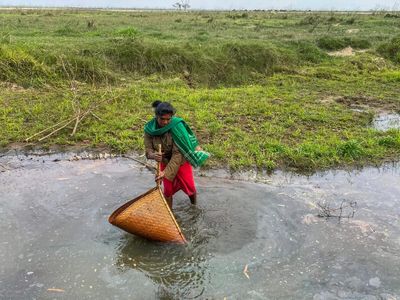 Assam CM Himanta Biswa Sarma monitoring Dhemaji flood situation, train services suspended