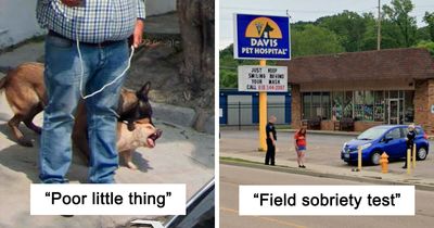 “I Will Be Immortalized On Google Street View Forever”: 81 Bizarre And Funny Google Street View Photos