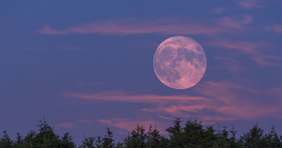 Strawberry Moon 2026 Glows Over US Tonight — Best Spots and Free Viewing Times