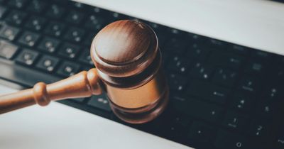 Public to be trained to decide asylum appeals instead of immigration judges