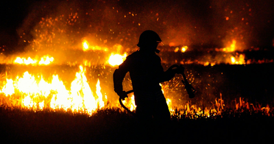 Three Firefighters Die in Colorado-Utah Wildfires as Utah Slashes July 4 Fireworks for Safety