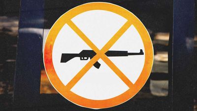Local Officials Vow To Shield the Public from Virginia's Authoritarian New Gun Laws
