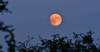 Strawberry Moon to light up the night sky in the UK soon - when to see it