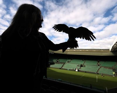 Wimbledon 2026: Djokovic battles through, Sabalenka and Gauff advance, Sinner taken to five sets on day one – as it happened