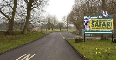 Youth and man charged after car crashes in safari park