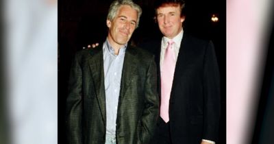 'Aggressively Flicked and Sucked': Graphic Epstein File Details Involving Trump Exposed in Record-Breaking New Book