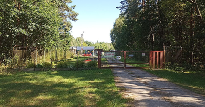 Secret Trail Cameras Exposed Killing Ground At Infamous 'No Kill' Animal Shelter; Intact Carcases Revealed Cruel Gunshot Fragments