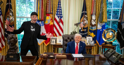 Inside the Elon Musk White House Fallout and the Unconstitutional $100M Purge That Broke Trump's Government