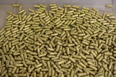 Three Moringa Supplement Salmonella Investigations Are Active Right Now — Is Your Brand on the Recall List?
