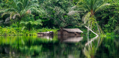 The 20km ripple effect: how mines can trigger distant deforestation in Africa