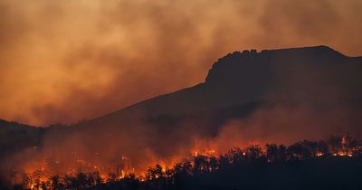 Fourth of July in Jeopardy: Fireworks Banned as America's Largest Wildfire Rages Out of Control