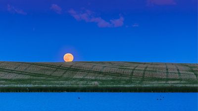 Strawberry Moon 2026: Tonight's full moon is the lowest, and one of the smallest 'micromoons' all year