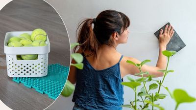 Fans are in awe of how surprisingly effective this tennis ball hack is for cleaning – we had to try it out