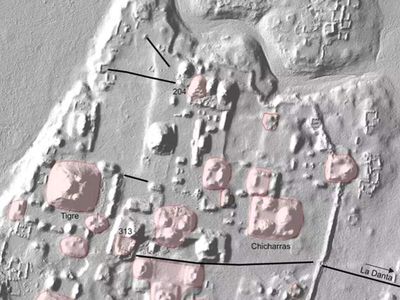 Deep inside the Mexican jungle, archaeologists found what could be the Mayan civilization’s missing puzzle piece