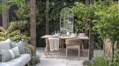 5 Easy Potted Plants That Make Any Outdoor Table Look Beautiful for Summer Hosting