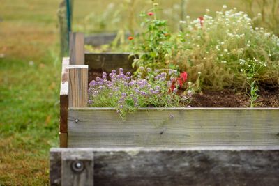 The Gardening Mistake That Causes Raised Beds to Dry Out Faster