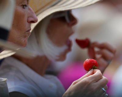 Spit, polish and strawberries: Wimbledon ignores the real world to perfection