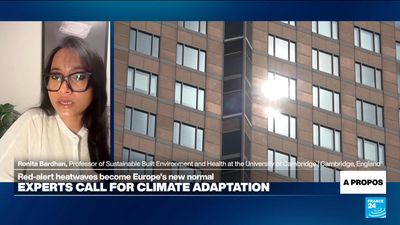 'Architecture, city design a frontline of defense' against heatwaves, expert says