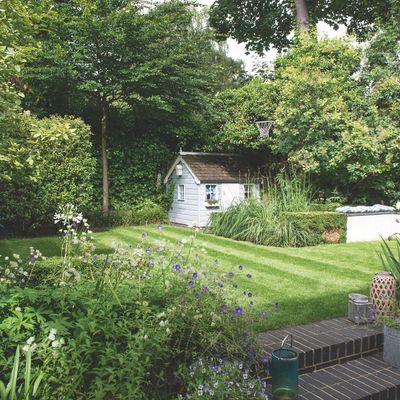 4 ways to reuse grass clippings in your garden – they are a powerhouse of nutrients and the secret to healthier plants and a more verdant lawn