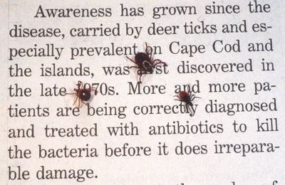 Tick ER Visits Are Up 25 Percent and One Sigmoidoscopy Can Protect Against Colon Cancer for Two Decades — Two Summer Health Updates to Know