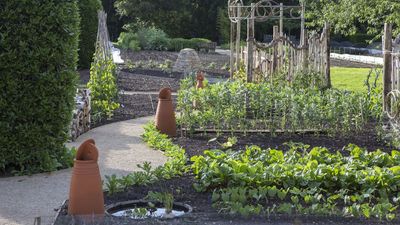 If Your Crops Are Bolting Faster Than You Can Harvest Them, Try These 5 Tricks for Bigger, Longer Harvests