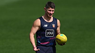 Star Lions veteran expected to play on in 2027