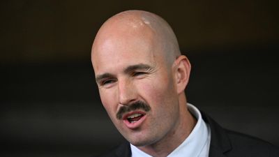 Australian neo-Nazi 'emulating thugs of 1930s Berlin'