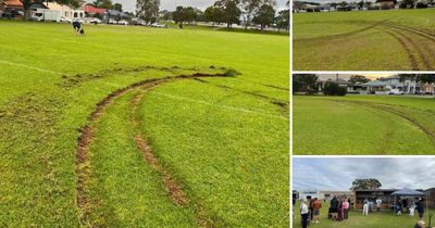 'Extremely disappointed': cable thieves, vandals wreak havoc across Newcastle