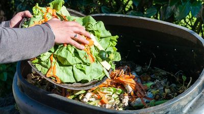 Stop your compost smelling bad this summer — just do these 3 easy things