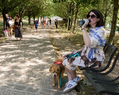 How I survived the record Paris heatwave while seven months pregnant