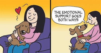 This Cartoonist Turns Everyday Dog Behavior Into Hilarious Comics (42 Pics)