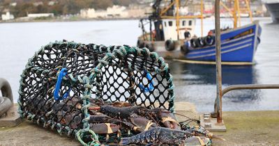 Scottish island fishing factory to close after 40 years due to 'falling demand'