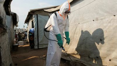 Ebola outbreak may cost Africa up to $3.6 billion, deepen poverty, says UN