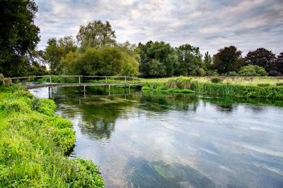 From chalk streams to temperate rain forests, our irreplaceable and rare habitats need us to use less water