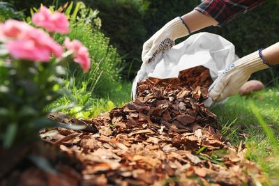 7 Cheap Ways to Protect Plants During Extreme Heat