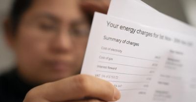Sky-high energy bills in winter show Scotland 'needs control of its own resources'