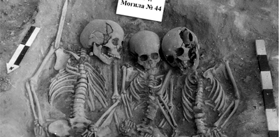 Prehistoric plague could have caused population collapse in stone age Europe
