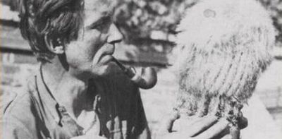 The strange history of Czech cactus hunters – and why some see themselves as Robin Hood figures